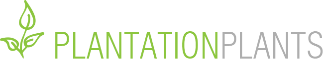 https://www.plantationplants.com.au/content/uploads/2019/01/cropped-plantation-logo.png